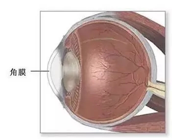 一眼万年几度轮回：华德眼科角膜移植全攻略