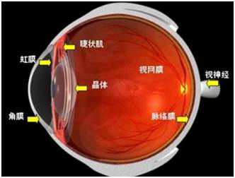 角膜移植是怎么回事？